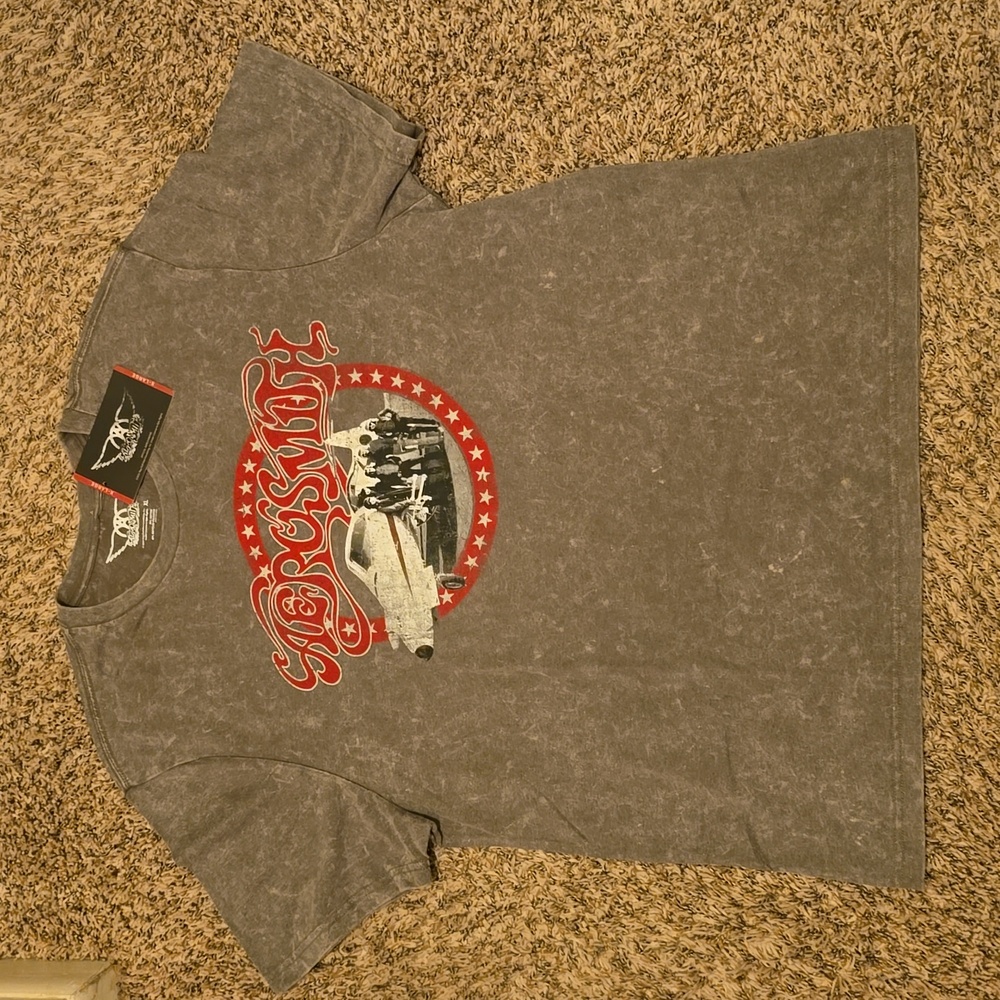 Aerosmith Grey Band Graphic T-Shirt Adult XL